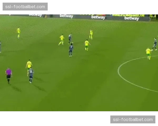 “即时战报：阿森纳半场2-0领先富勒姆，萨卡、厄德高分别建功”